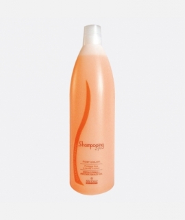 Sinlase Shampooing Spa Post-Color 1000 ml